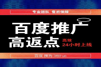 专业SEM托管助力企业快速成长案例分析